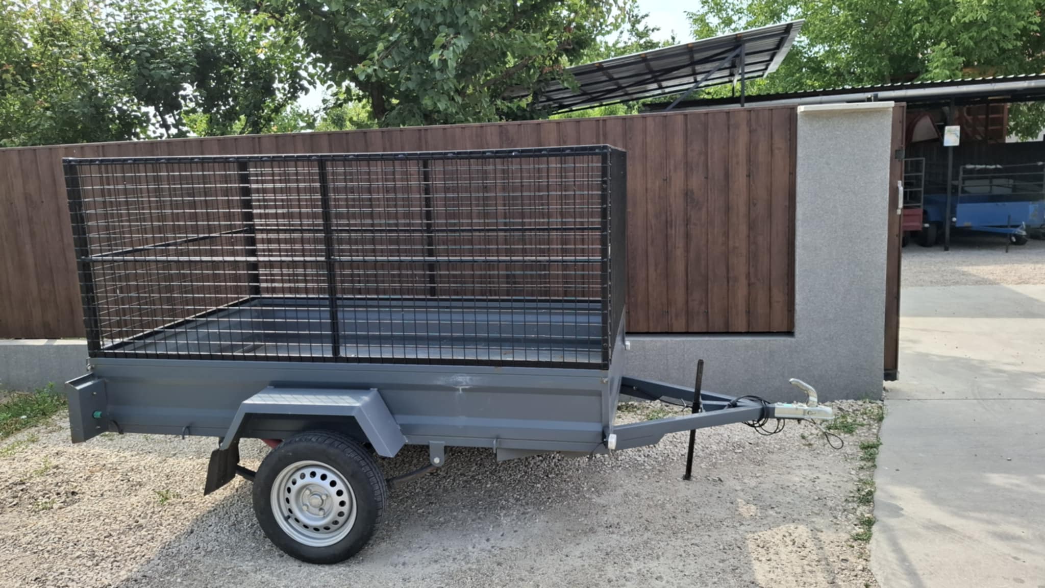 Szürke Kalydi illusztráció